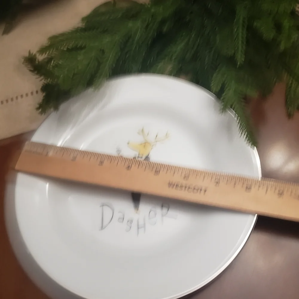 POTTERY BARN Reindeer DASHER 8.5